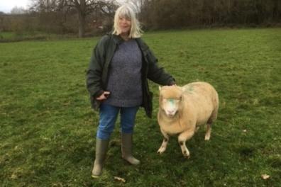 Lorna Hasell