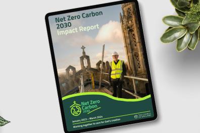Net Zero Carbon Impact Report