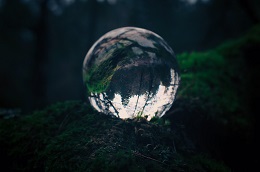Glass globe in nature