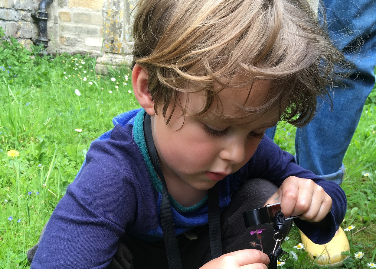 Child looks at flower through microscope
