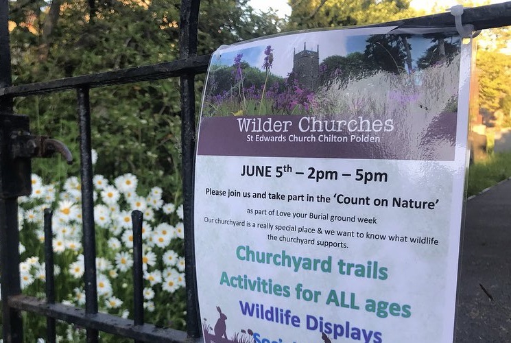 Notice about Churches Count on Nature on St Edward's gate with daisies in background
