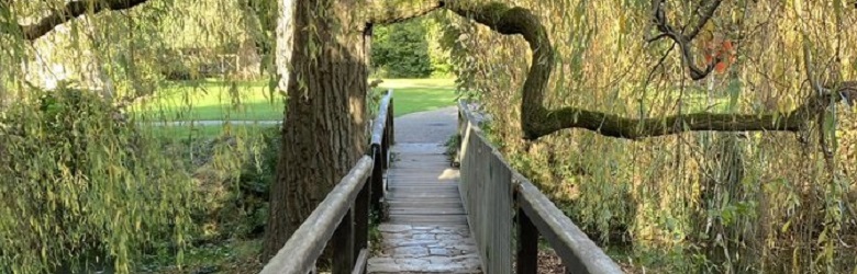 Bridge at the Bishop's Palace Wells