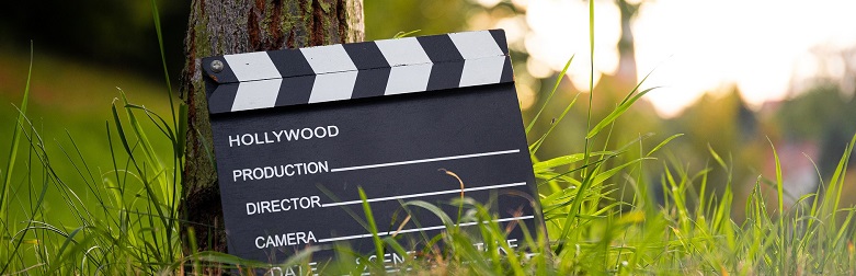Movie clapperboard leaning against a tree