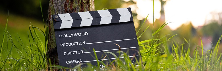 Movie clapperboard leaning against a tree